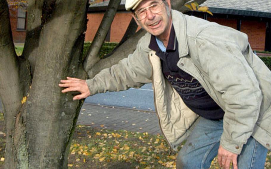 Mildenhall tree surgeon Ronald “Moe” Murkin stands next to a healthy patient at RAF Mildenhall.