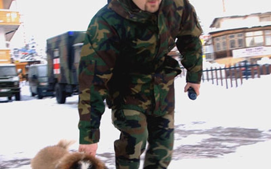 An Alpini, wearing his distinctive feathered hat, guides a mountain dog to his kennel at Arabba, Italy.