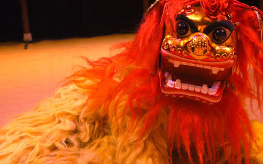 A "lion" from the Chinese State Circus currently touring venues in England, stares down visitors in a warm-up session recently at the Cambridge Corn Exchange.