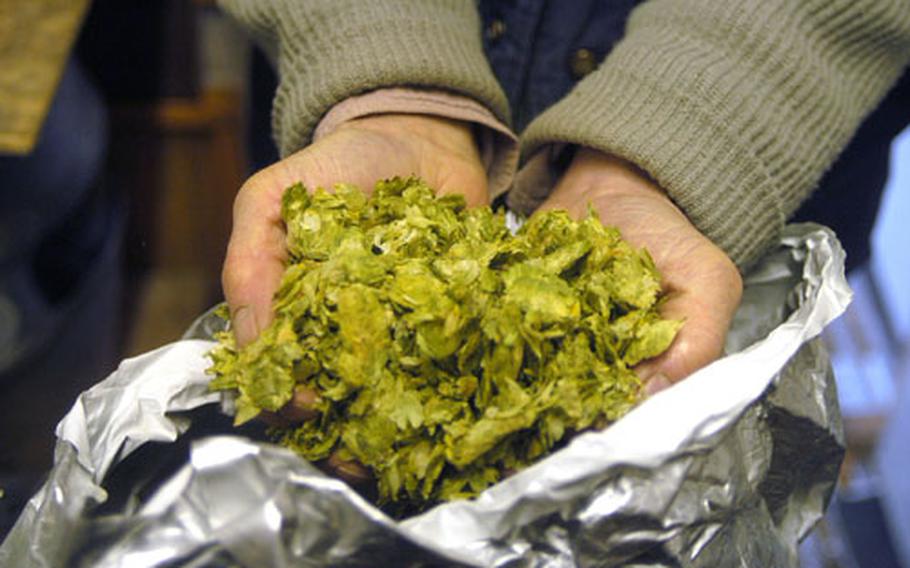 Dennis Cooper, owner of The Brandon Brewery, shows one of the types of hops that he uses to brew beers.