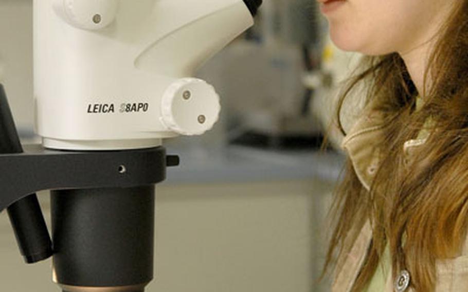 Lab technician Nancy Scott looks at a tick sent in by a health clinic in Mannheim for identification Monday at the Entomological Sciences Division at Landstuhl Regional Medical Center.
