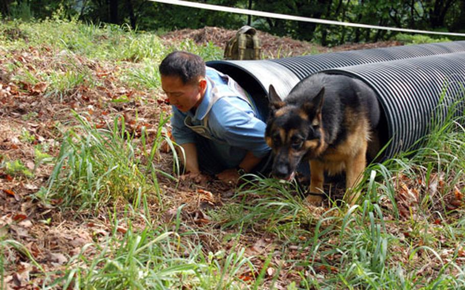 Lee, Min-gyun and German shepherd Kunm-kang, Samsung Search and Rescue, emerge from one of the obstacles on the fitness and endurance course.