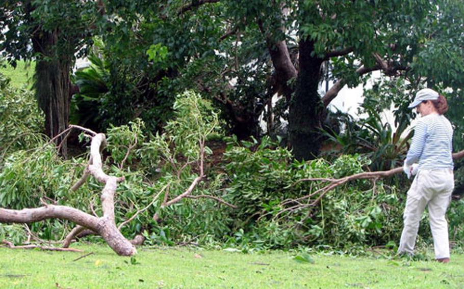 Navy Cmdr. Karen Tsiantas, chief of staff for Commander Fleet Activities Okinawa, drags a huge tree limb out of a pile of downed limbs in the backyard of her Stearly Heights home on Kadena Air Base. Clean-up on island military bases began in earnest Saturday after Typhoon Man-yi raked the island with winds gusting to 105 mph Friday, causing scattered power outages and littering the island with debris.