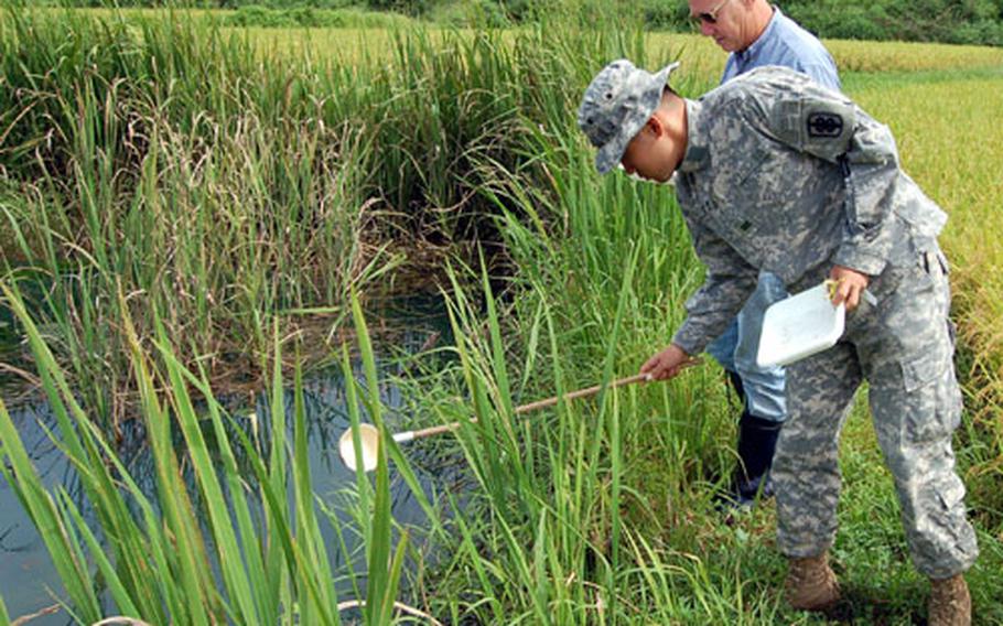Cpl. Lee Soh-kuem with 18th Medical Command scoops water out of a pond near Warrior Base, South Korea, last week while Terry Klein, an entomologist and emerging infectious disease consultant for 18th Medical Command’s Force Health Protection Office, looks on.