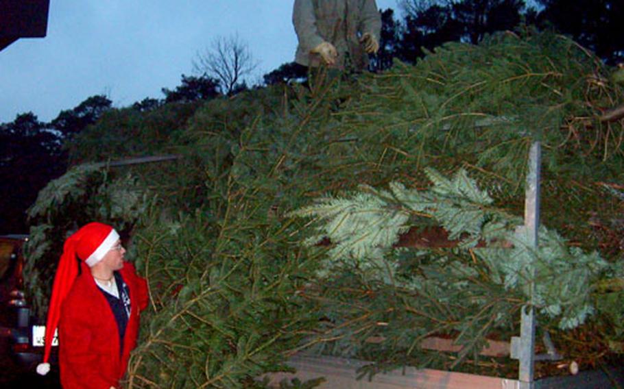Chris Sears, left, an Eagle Scout, helps a German tree vendor unload a delivery of Christmas trees at Ramstein Air Base on Friday. Boy Scout troops are selling trees through Dec. 20 to raise money for Scout activities.