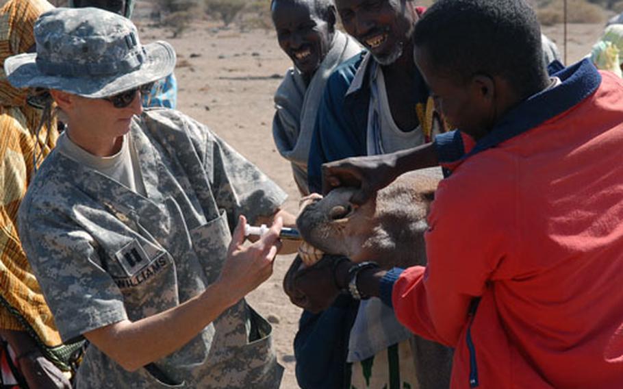 A Djiboutian herder pries open the mouth of a reluctant patient as Capt. Catherine Williams, an army reservist and veterinarian, applies a treatment.
