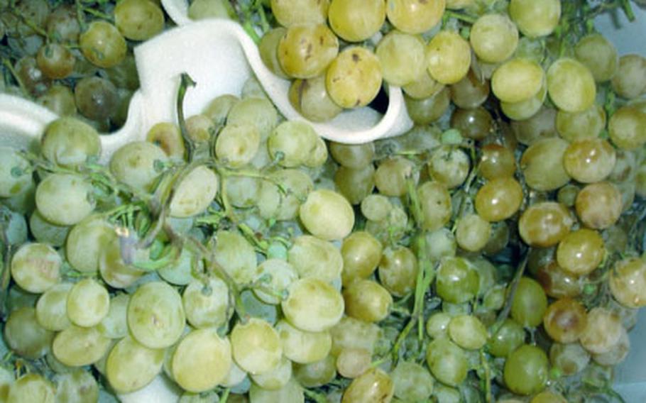 In Italy, white grapes eaten at midnight on New Year’s are believed to bring good luck the following year.