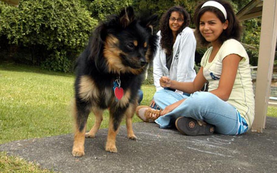 Itsy Bear, newly arrived from San Diego to Japan, is now in on-base quarantine at Yokosuka Naval Base, where the puppy gets regular visits from the Castaneda family, including Anicia, right, and Geni.