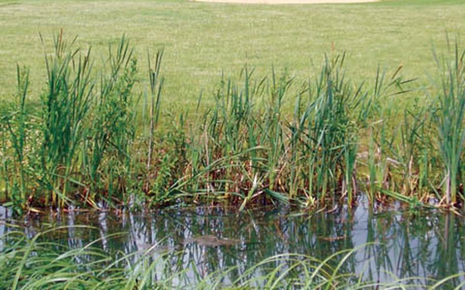 Water and sand hazards greet golfers teeing off from the sixth hole of the Cambridge Lakes Golf Course.