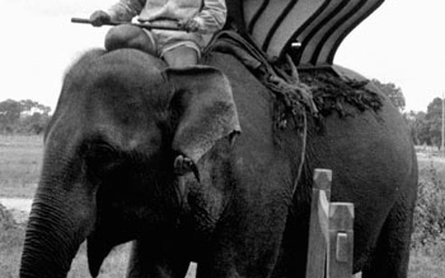 Pacific Stars and Stripes chief photographer Sandy Colton rides the local transportation while on assignment in Cambodia in the 1950s.