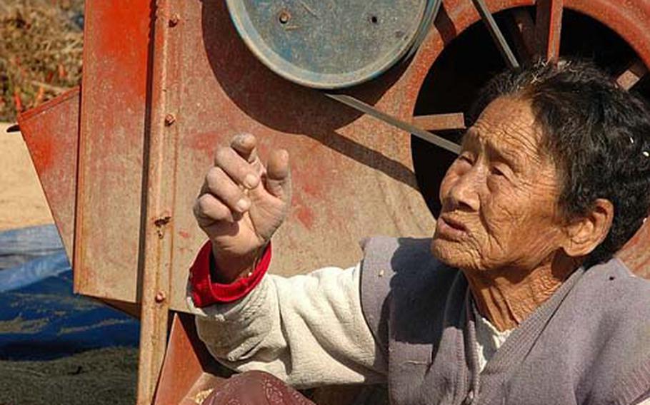 This woman, who was threshing rice, remembers helping to bury eight South Korean soldiers on a nearby hill. She says no one ever came to claim them. She also says it may have been 13 soldiers.