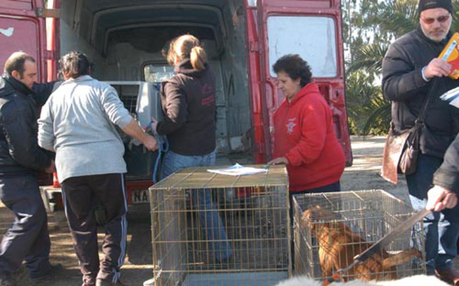 Animal activists team with and Italian health officials to load some of 51 shelter dogs seized Friday into a truck, which would take them to other Naples-area shelters. The shelter was shut down Friday after a court injunction on charges of cruelty to animals.