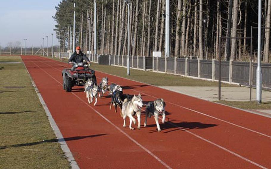 Fred Palmer shows off his dogsledding Siberian Huskies and Alaskan Huskies. The Palmers dogsled competitively and took the time to show people at RAF Mildenhall how it is done.