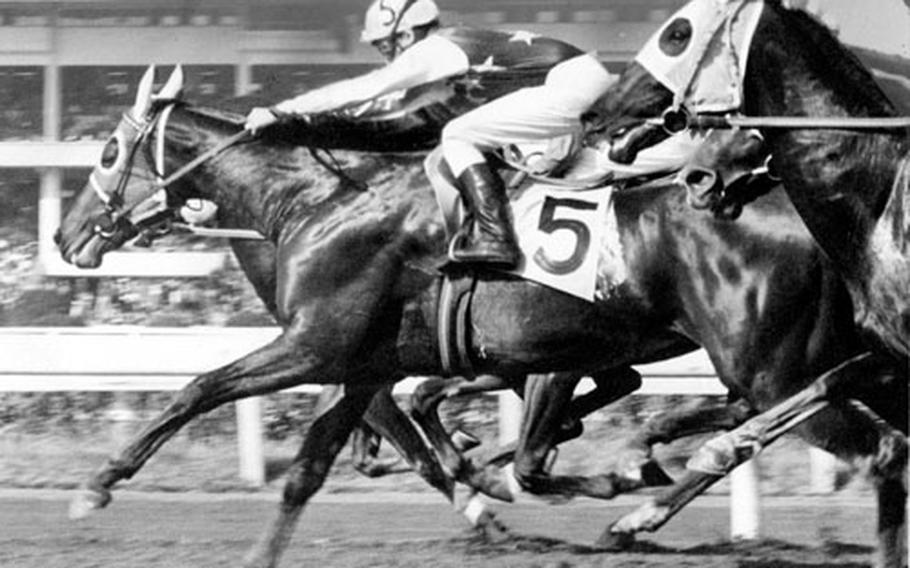 Steve Cauthen takes the lead at Tokyo's Oi Race Course in November, 1979.