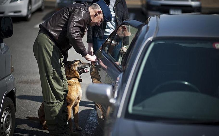Col. Otto Feather, 374th Airlift Wing commander, puts Elra into the back seat of his car following her retirement ceremony as a military working dog on March 23, 2012, at Yokota Air Base, Japan. Elra, who entered the military working dog program on June 24, 2003, was adopted by Feather and his wife, Nancy, so they could retire together in Alaska.