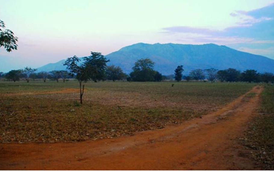 Trainers bring the Giant African Pouched Rats to the APOPO training minefield outside of Morogoro, Tanzania, at dawn. Rats work early in the morning when the temperature is coolest. 