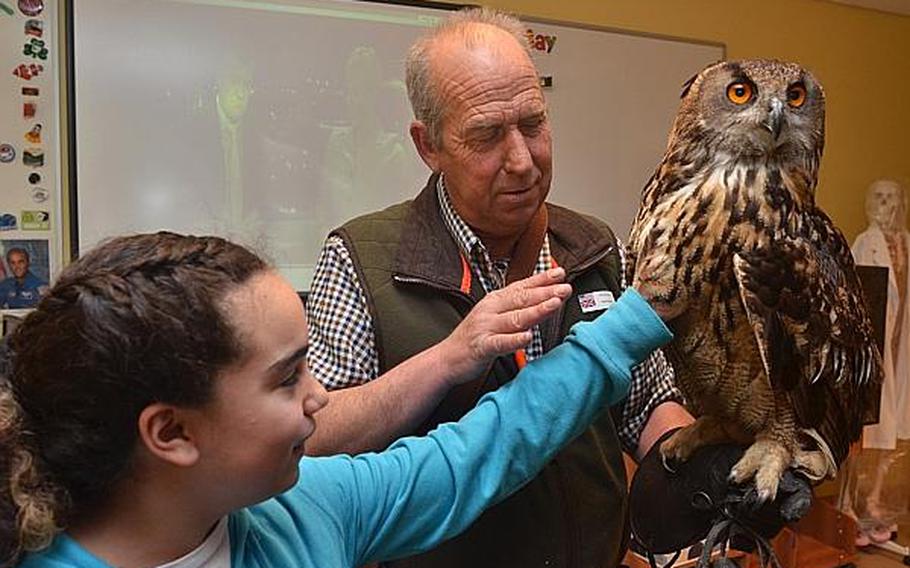 Emma Atherton, a seventh grader at Lakenheath Middle School, puts her hand under the feathers of a European Eagle Owl, held by falconer Keith Mutton at RAF Feltwell on May 3, 2013. The owl is used to help keep birds from the runways of RAFs Lakenheath, Mildenhall and Fairford and was part of UK Day events at the school.