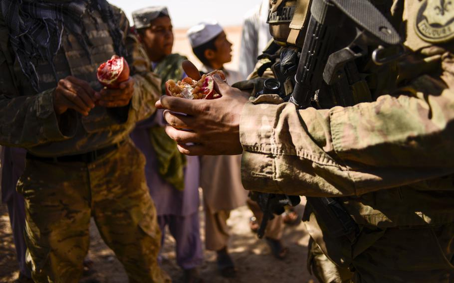 Capt. Chad Campbell eats a pomegranate grown in the desert of southern Afghanistan's Kandahar province just north of Forward Operating Base Pasab during a partnered patrol with Afghan police on Oct. 21, 2013.