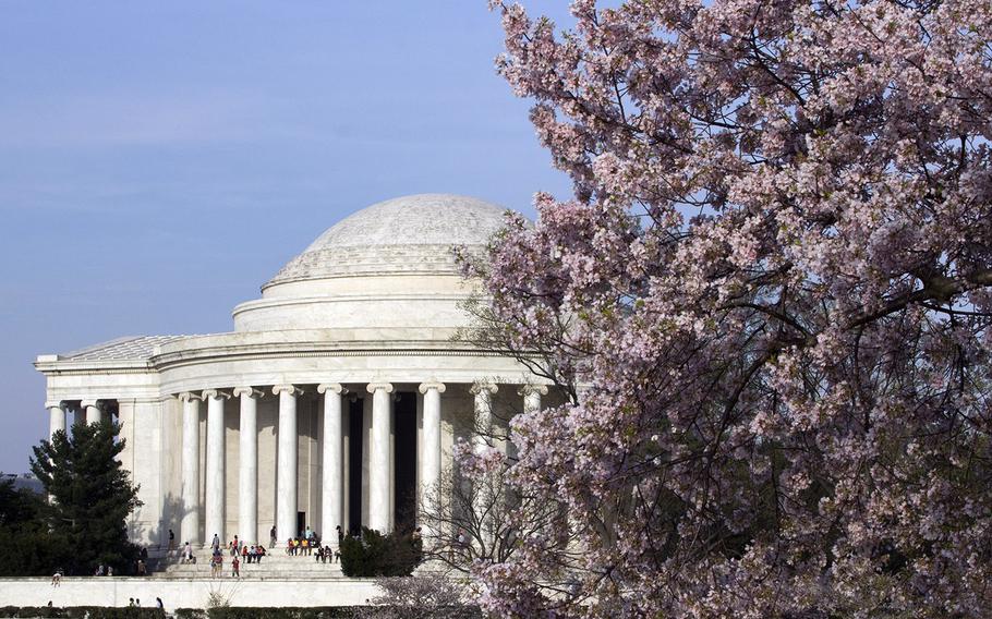 Cherry blossom season 2014 at the Tidal Basin in Washington, D.C.