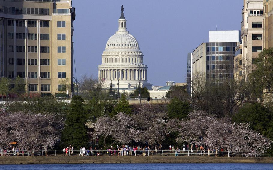 Cherry blossom season 2014 at the Tidal Basin in Washington, D.C.