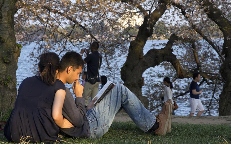 Cherry blossom season 2014 at the Tidal Basin in Washington, D.C.