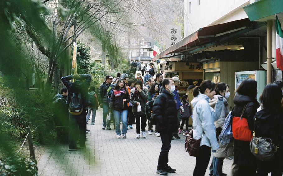 Even weeks before the cherry blossoms bloom, places like Mount Takao are popular sites for visitors interested in exploring nature around Tokyo.