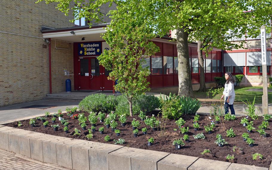 Wiesbaden Middle School has been selected as a 2015 U.S. Department of Education Green Ribbon School. On Wednesday, April 29, 2015, students spent the day planting flowers, herbs and bushes in flowerbeds at the school.
