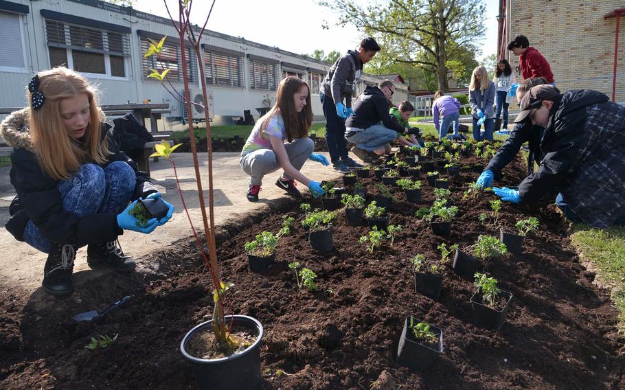 Wiesbaden Middle School students plant flowers, herbs and bushes in a bed next to the school Wednesday, April 29, 2015. The school is one of two Department of Defense Education Activity schools to be named a Green Ribbon School this year.