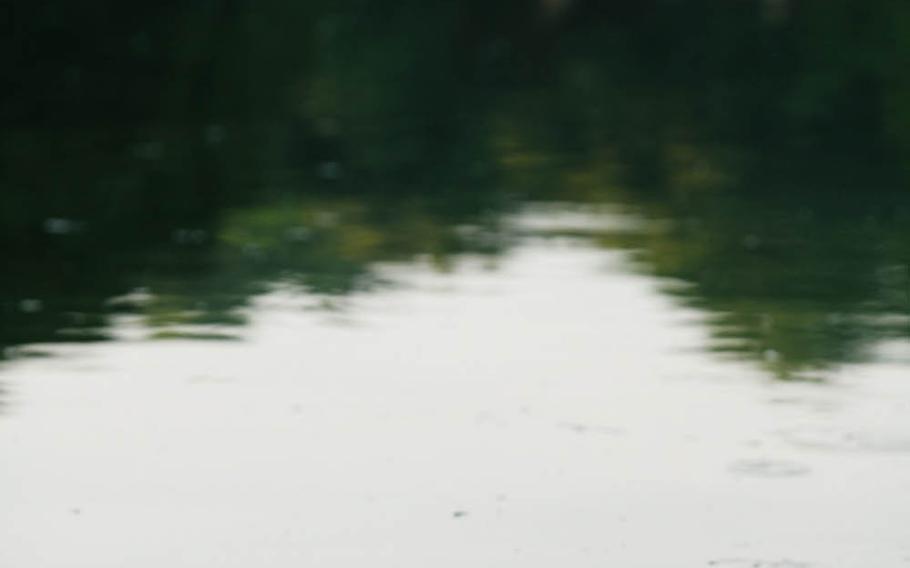 A turtle emerges from Hoan Kiem Lake in Hanoi, Vietnam, in 2008. Vietnamese folklore says a 15th-centry emperor once fought off Chinese invaders using a magical sword. Later, while the emperor was boating on the lake, a golden turtle god surfaced and reclaimed the weapon.
