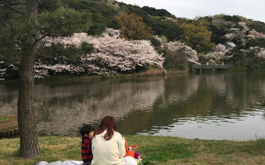 Parkgoers enjoy a picnic at Sankeien, a 43-acre expanse of gardens, water and historic buildings in Yokohama.