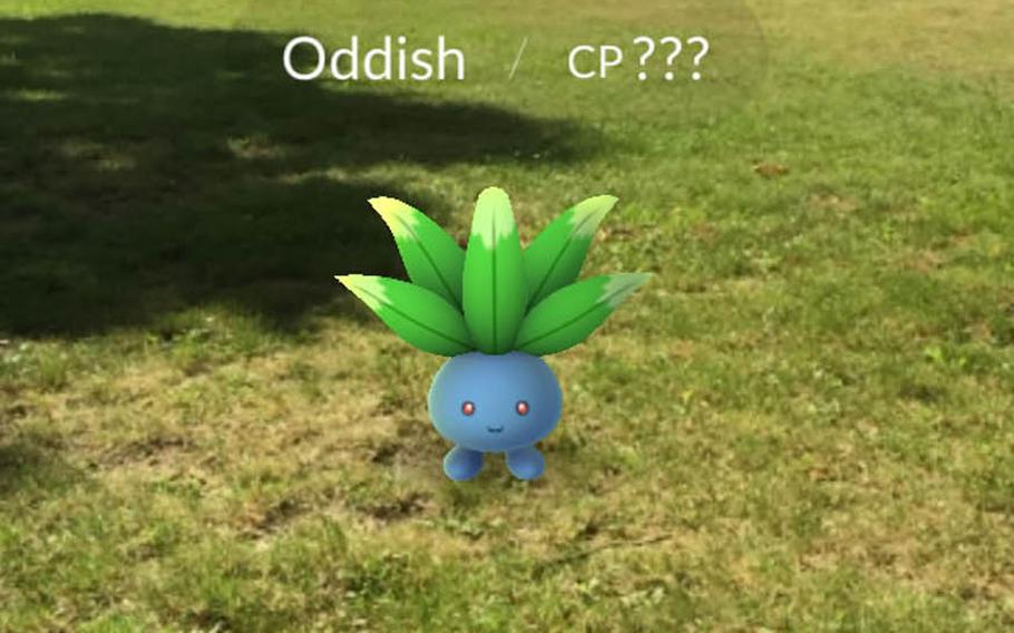 Once found on the GPS-driven map, the digital monsters in Pokemon Go appear through a player's smartphone camera as if they were found in real life.