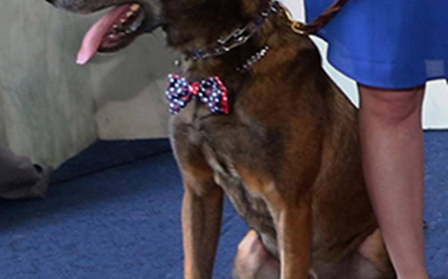 Bond, a Belgian Malinois, worked 50 combat missions in Afghanistan.