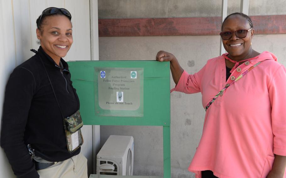 Volunteers Kelli Brooks, left, and Leslie O'Connor stand near a Feline Force Protection Program feeding station at NATO's Resolute Support Headquarters in Kabul, Afghanistan, Nov. 8, 2016. Volunteers feed the vaccinated cats, which are used to keep unvaccinated strays away from the base.