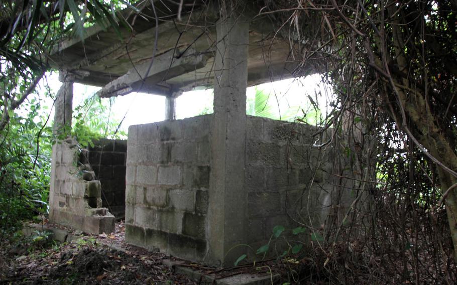 Atop a steep jungle hill, hidden in the dense brush at Heshikiya's White Beach Naval Facility in Okinawa, lies an Imperial Japanese lookout post used during World War II.