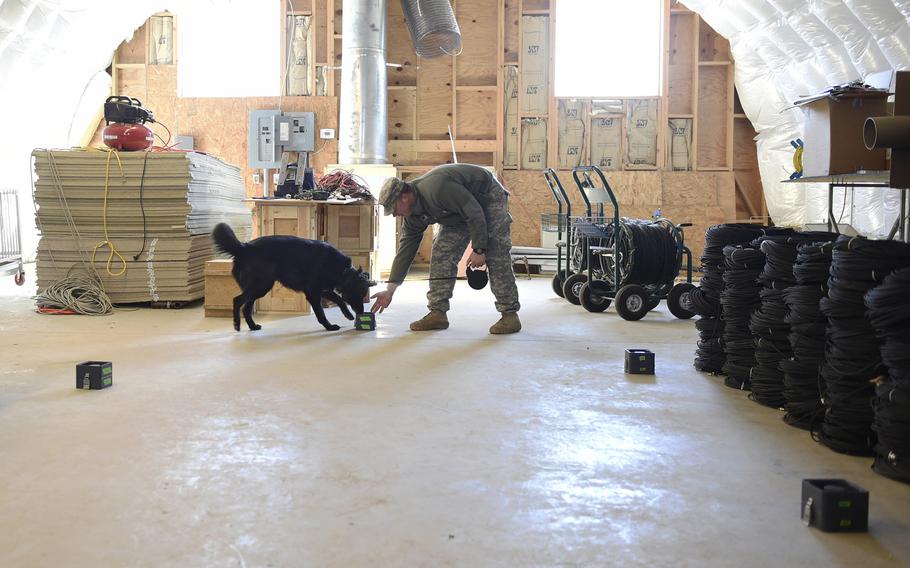 Army Specialist Gregory Taflinger familiarizes his working dog, Lucky 6, with the Mixed Odor Delivery Devices during Office of Naval Research-sponsored research conducted at the U.S. Army's Blossom Point Research Facility under its Expeditionary Canine Sciences Program.