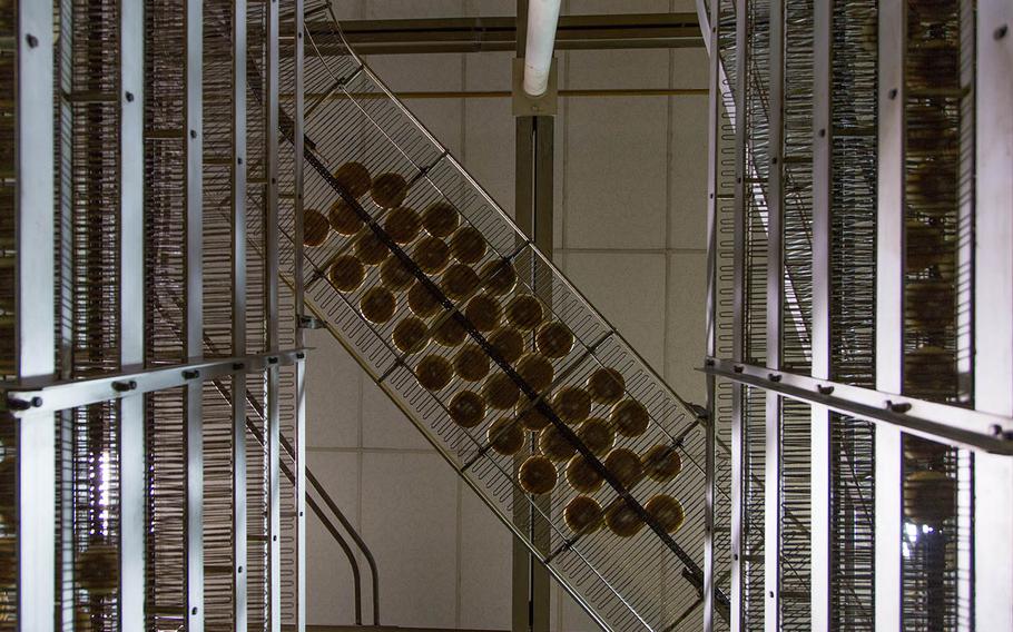 Hamburger buns move along a conveyer at the Army and Air Force Exchange Service bakery at Camp Market, South Korea, Tuesday, Dec. 5, 2017.