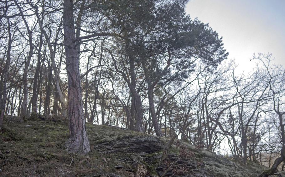 A sylvan landscape along the trail to the Sieben-Buergen-Blick, or Seven Castles' View, an observation platform in the hills above the Rhine near the town of Niedernheimbach, Germany. Just above Sooneck Castle, the platform gives a commanding view of the river and surrounding area.