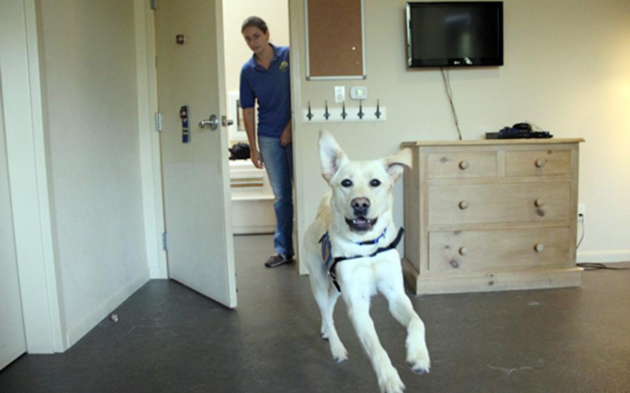 Sarah Birman, an instructor at Canine Companions for Independence, trains a future service dog in Santa Rosa, Calif.