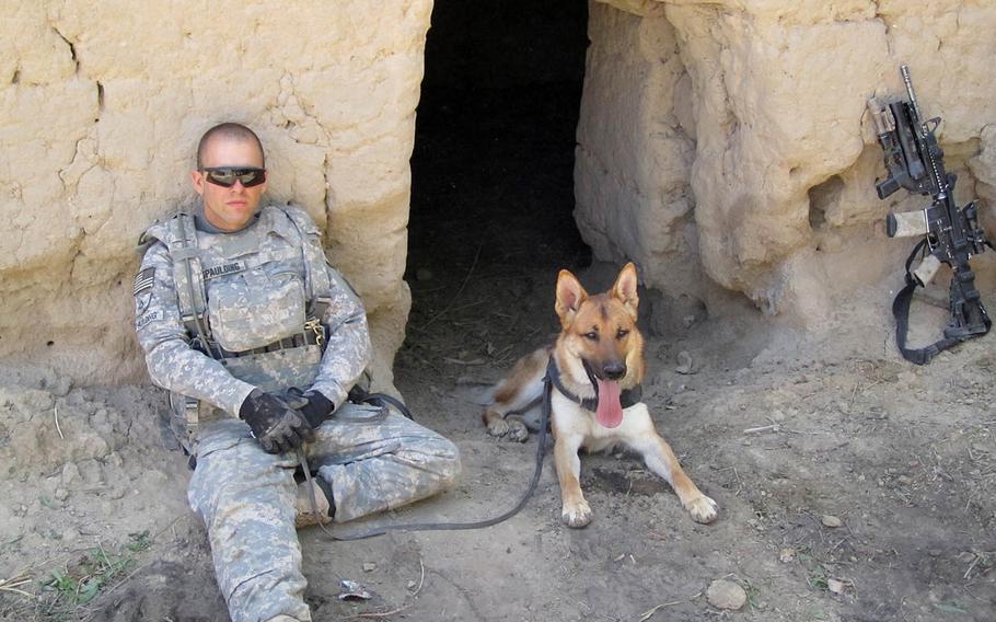 Army specialist Andrew Spaulding and tactical explosives detection dog Bono, the dog he handled, during Bono's first deployment in Afghanistan in 2010. Bono deployed with a different handler again in 2012.