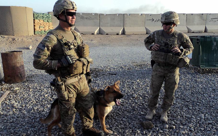 133p bs Staff Sgt. Shawn Martinez (left) and Staff Sgt. Ryan Risher (right), both assigned to the 2nd Battalion, 32nd Field Artillery, 4th Infantry Brigade Combat Team, 1st Infantry Division, stand with Bono after returning from a patrol in Afghanistan in 2012. Martinez, Bono's handler on that deployment, later adopted the dog.