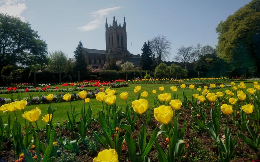 The central area of the Abbey Gardens in Bury St. Edmunds, England. About 20,000 plants and bulbs are displayed and rotated through seasonal arrangements.