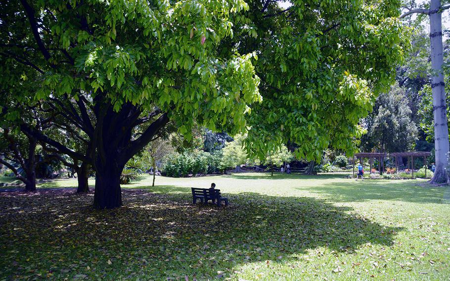 Foster Botanical Garden is a 15-acre oasis of nature and tranquility in the busy city of Honolulu.