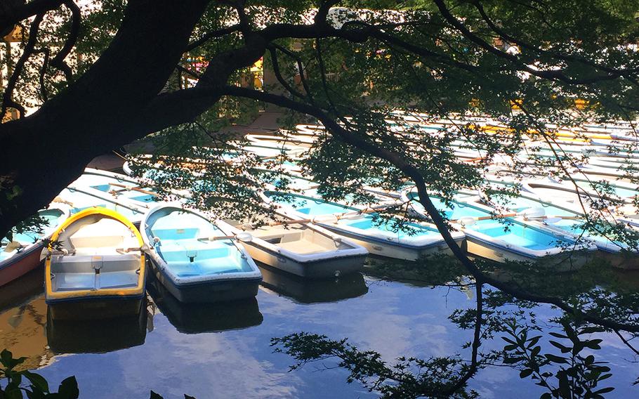 One of the most popular activities at Inokashira Koen is to rent a boat — customers have the option of choosing either a swan paddle boat or a rowboat — and spend time on the large pond that forms the centerpiece of the park.