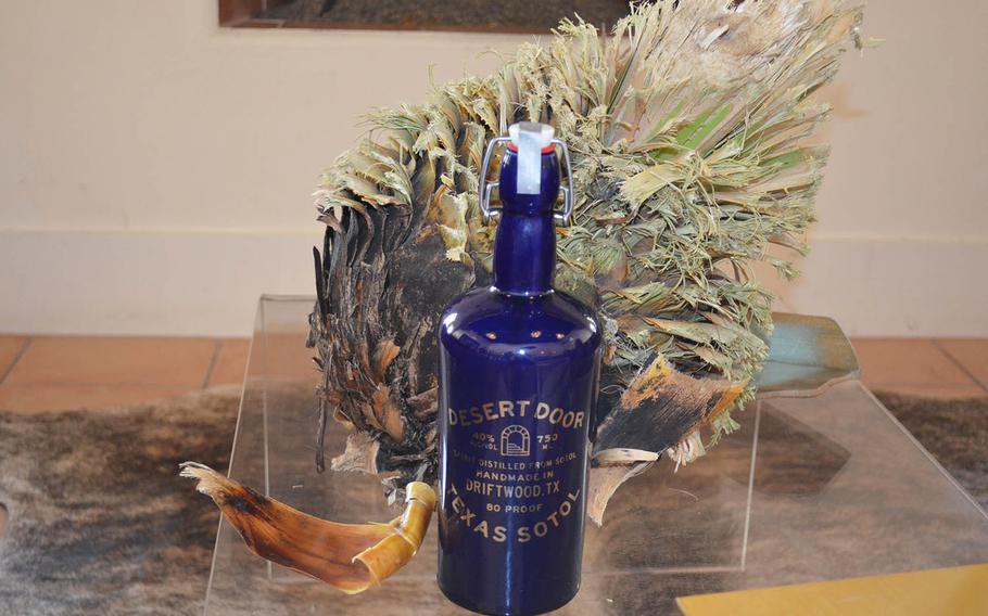 A bottle of Desert Door sotol, sits in front of "Wilson," the nickname given to a dried sotol plant heart used to create their alcohol. Harvested in west Texas, the owners equate the center of the plant to that of an artichoke. 