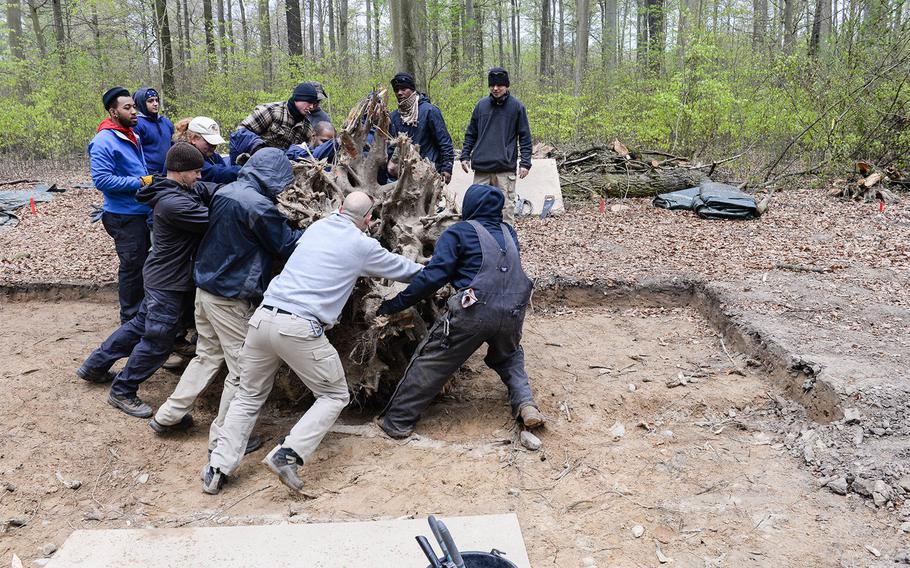 A recovery team with the Defense POW/MIA Accounting Agency rolls away a tree stump from an excavation site near Lindau, Germany, in April 2016. The mission eventually led to the recovery and identification of missing World War II pilot 1st Lt. William "Bill" Gray Jr. Gray's remains, found embedded in the tree's roots. DPAA has stepped up efforts to account for missing personnel from World War II.