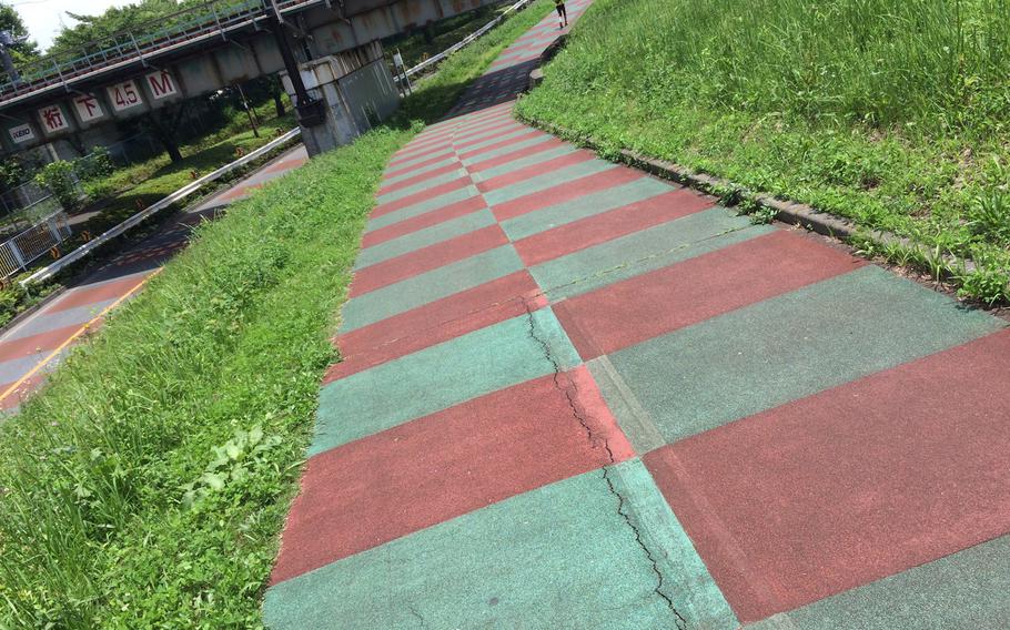 Tokyo's Tama River Trail is a popular cycling road offering an opportunity for athletes of all skill levels and ages to experience uninterrupted adventure.