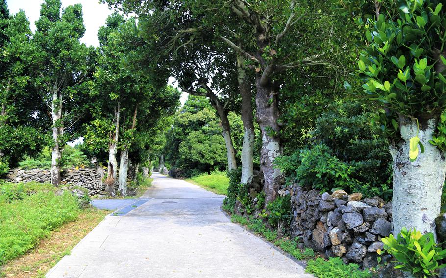 Izena Island's population is small, numbering about 1,500 residents and the island's entire perimeter totals just 10 miles.