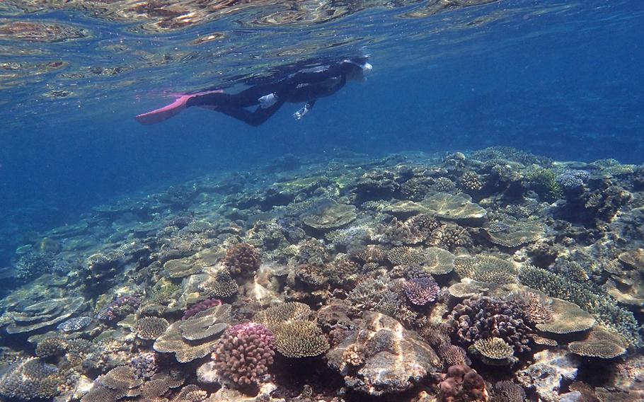 Izena Marine Service Guin is the only shop providing snorkeling tours to tourists on Izena Island.