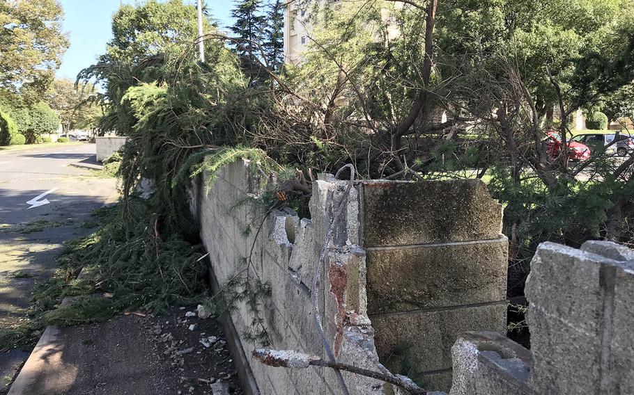 Winds from Typhoon Trami toppled a tree that damaged a concrete wall at Yokota Air Base, Japan, Monday. Oct. 1, 2018.