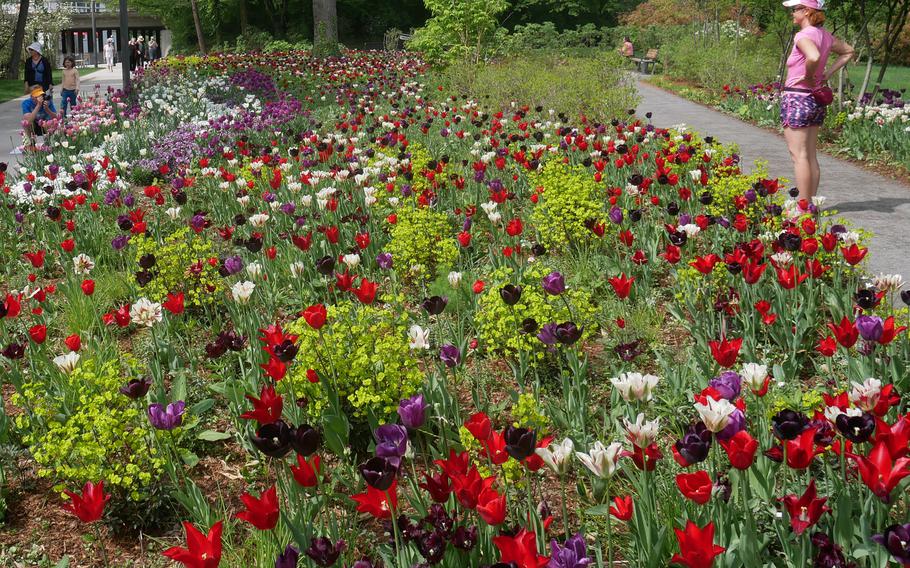 A visitor to the Budesgartenschau BUGA, Germany's federal garden show, poses for a photo behind a bed of blooming flowers. The show in Heibronn is open until Oct. 6, 2019.